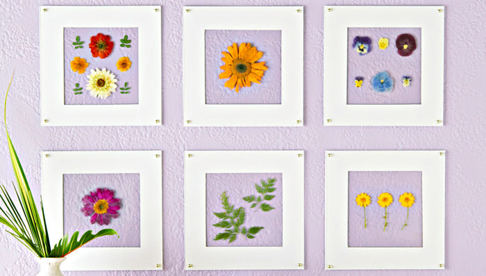 wall-art-with-pressed-flowers-101879066-1