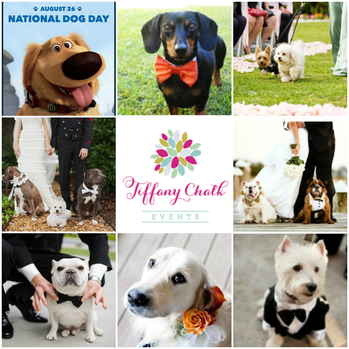 {Tiffany’s Tuesday Tip} The Couples Best Friend…Pet Edition